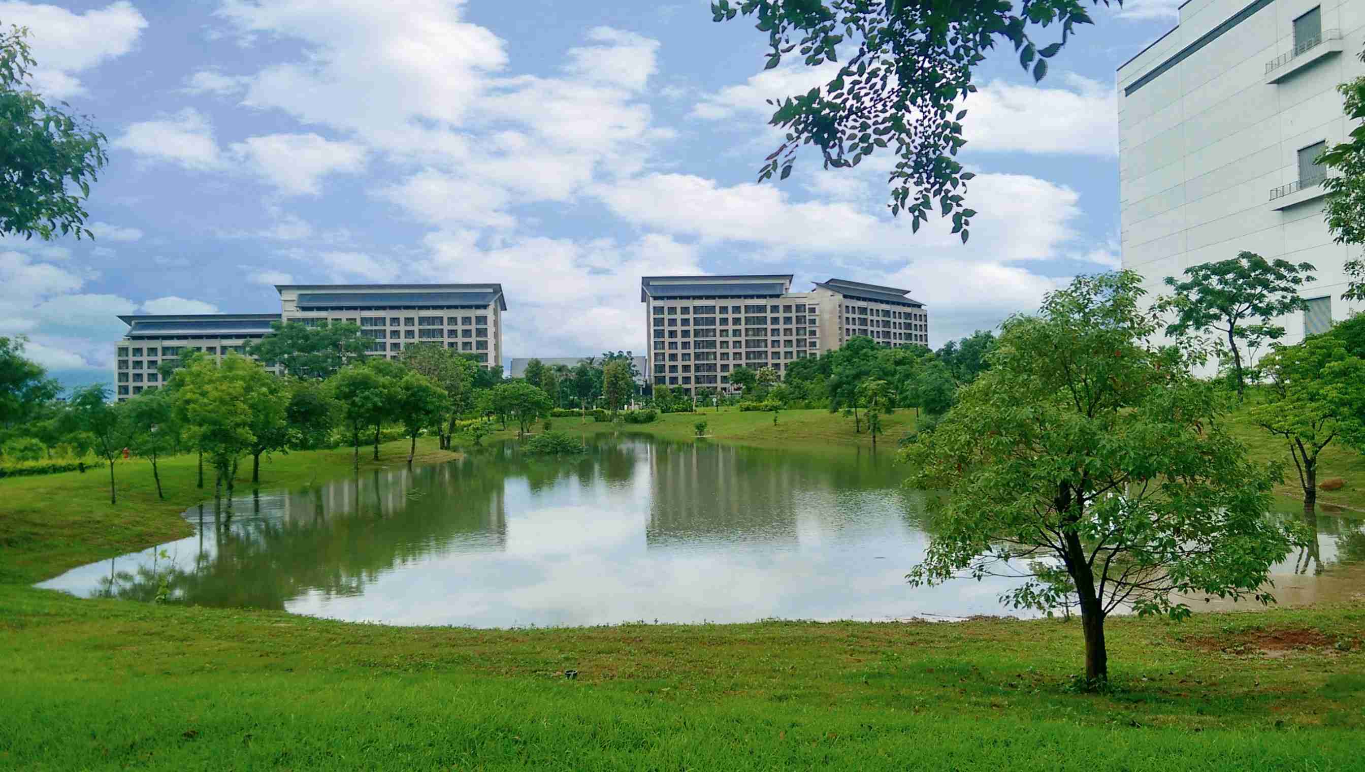 彩神vll响应国际倡议生物多样性趋势，，首次发布TNFD自然相关财务揭露报告书，，，擘划及开展彩神vll生物多样性政策之承诺，，，逐步迈向与自然和谐共生